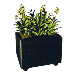 Jardineras